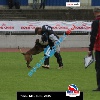 IMG_9476 (2)